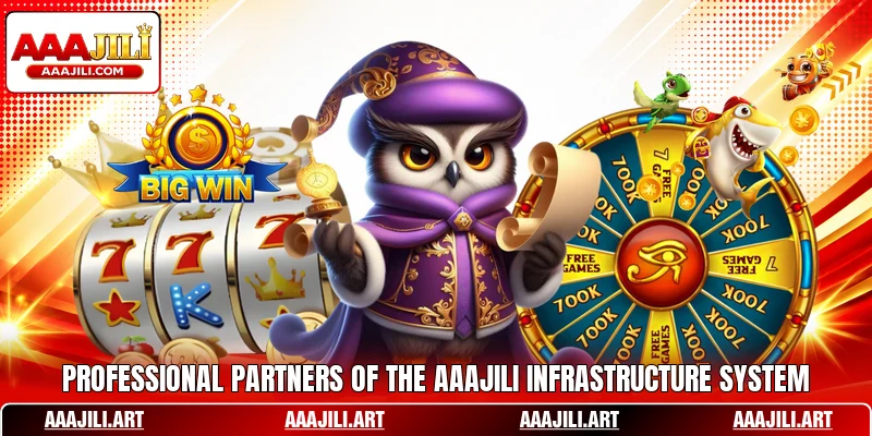 Professional partners of the AAAJILI infrastructure system Professional partners of the AAAJILI infrastructure system